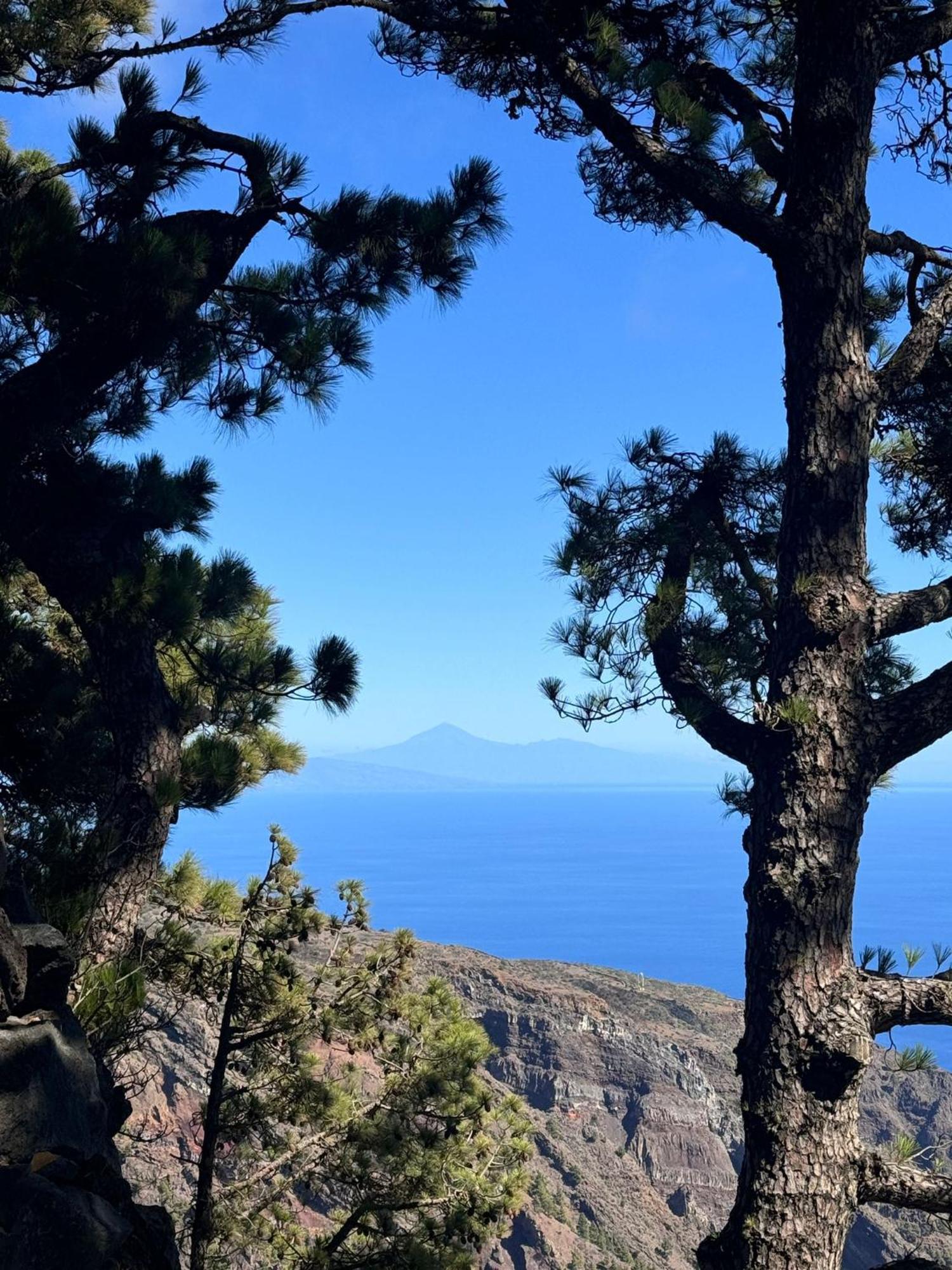 Apartamento El Rincon La Restinga Szoba fotó